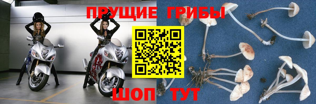 Галлюциногенные грибы ЛСД Солнечногорск