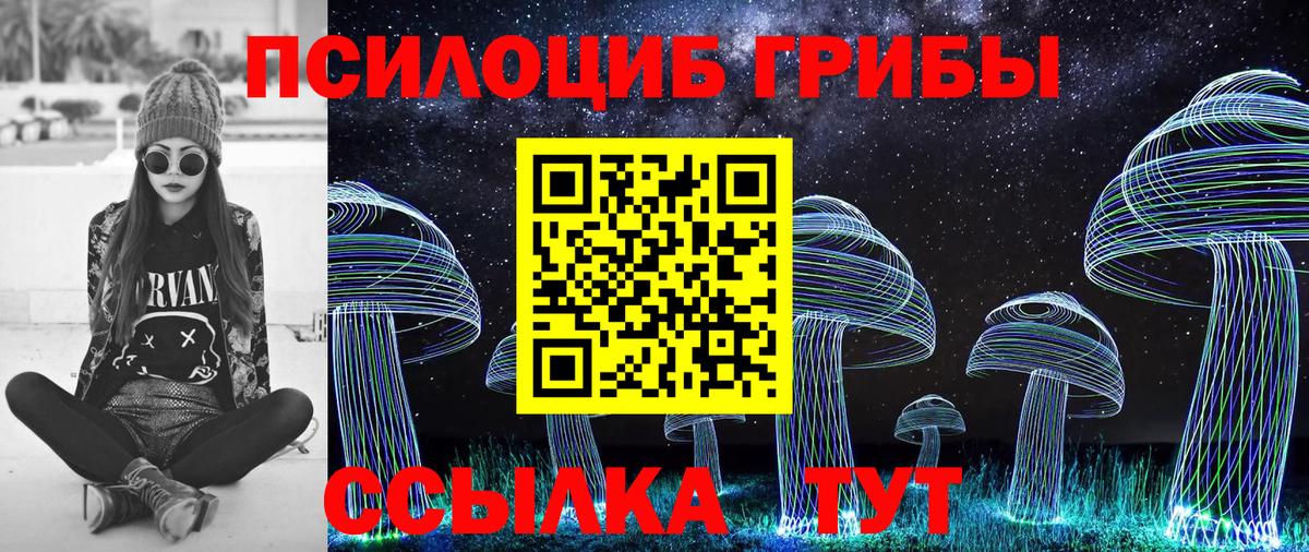 Солнечногорск  Псилоцибиновые грибы Cubensis  где продают наркотики  Вход с VPN  Галлюциногенные грибы мухоморы 